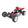 Team Associated RB10 RTR