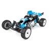 Team Associated RB10 RTR