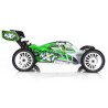 Hobbytech NXT XTREM 6S RTR