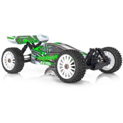 HobbyTech Buggy 1/8 BX8...