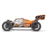 HobbyTech Buggy NXT RR Evo RTR PACK